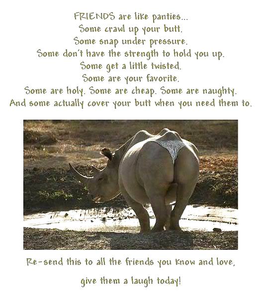 Mixture of stuff. #22014056