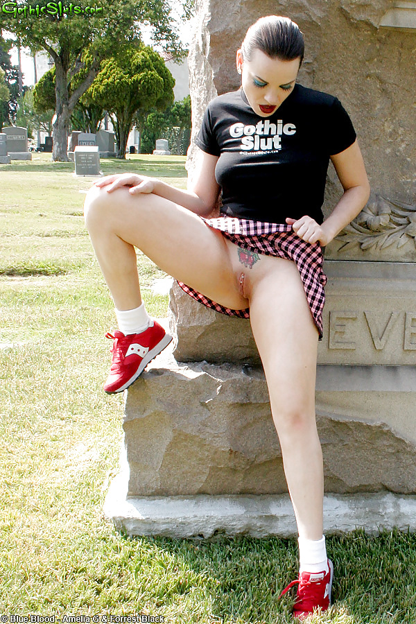 Dana DeArmond Goth Graveyard Flashing #9803130