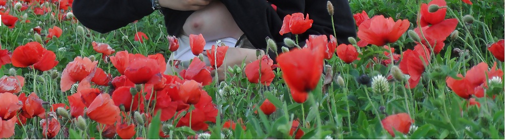 Un po di noi... #9553151