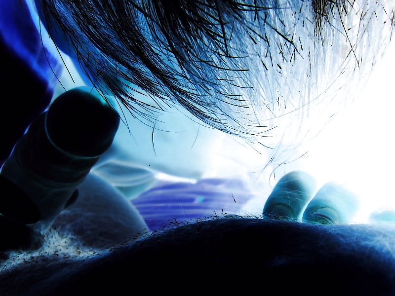 Un po di noi... #9553181