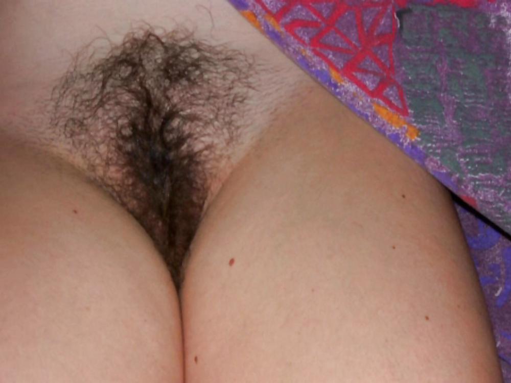 Nuttenbusch #17918272