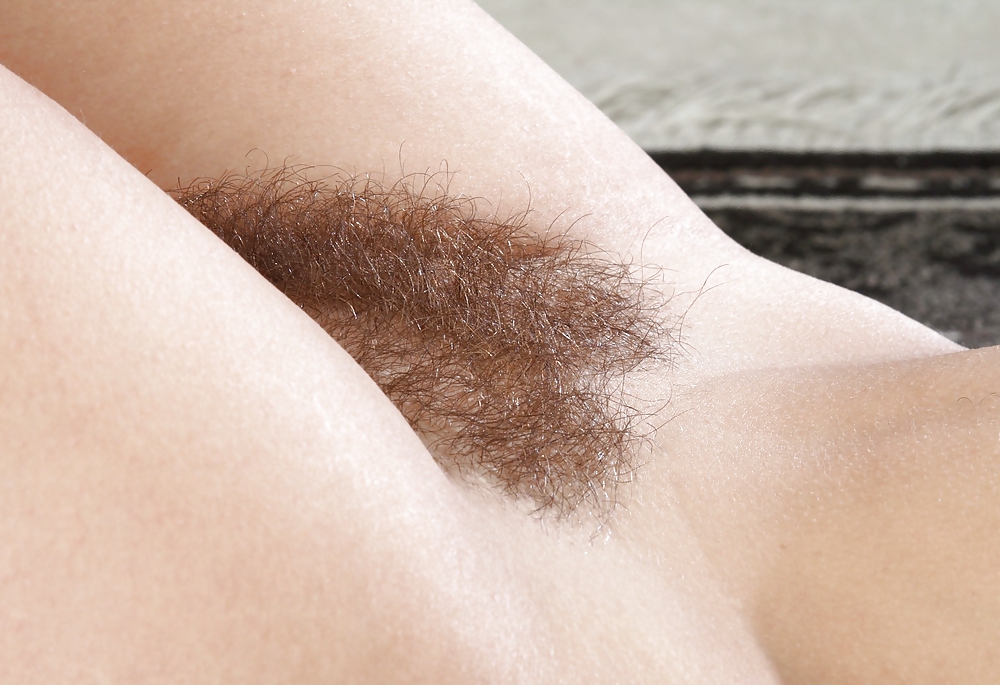 From the Moshe Files: Sweet Hirsute #15409294