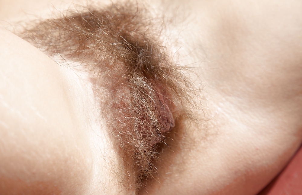 From the Moshe Files: Sweet Hirsute #15409306