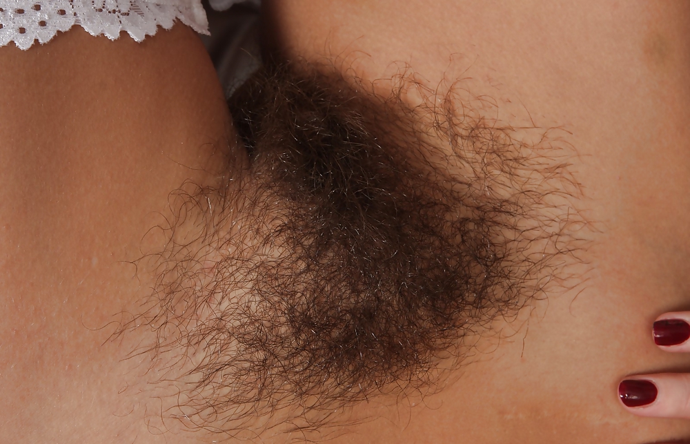 From the Moshe Files: Sweet Hirsute #15409308