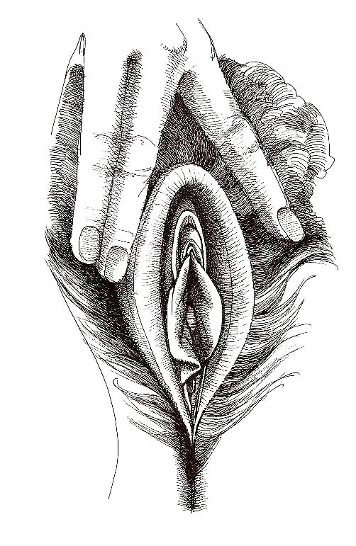 Arte de género 2 - vulva (2)
 #17013447