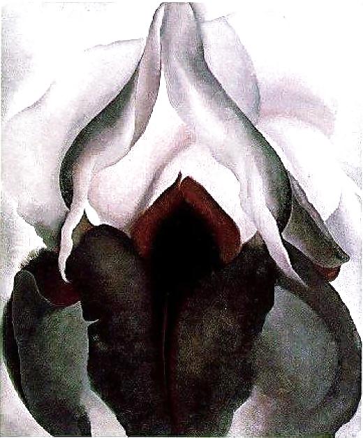 Arte de género 2 - vulva (2)
 #17013452