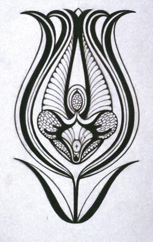 Arte de género 2 - vulva (2)
 #17013554