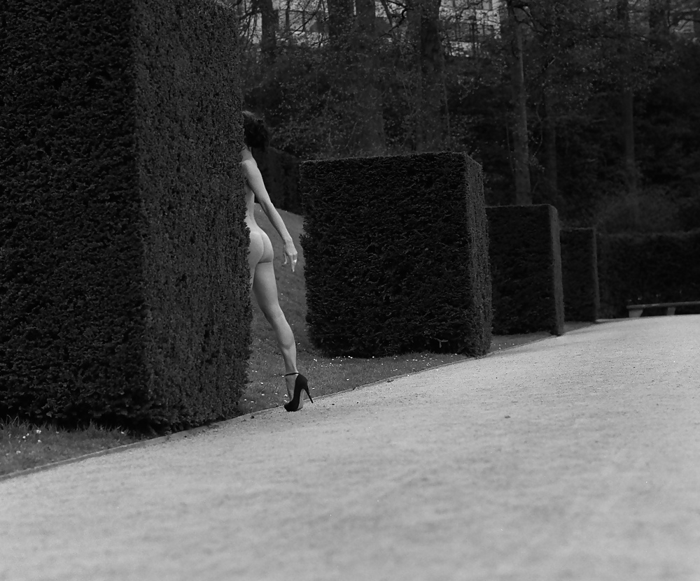 Algo nuevo, algo prestado
 #22458295