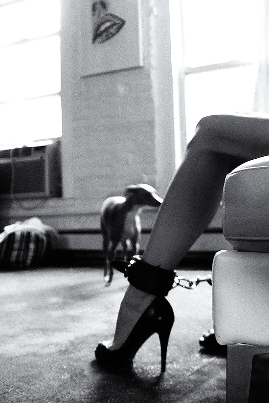 Algo nuevo, algo prestado
 #22458521