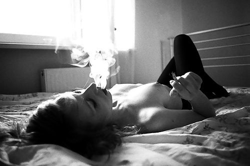 Algo nuevo, algo prestado
 #22458543