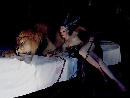 Algo nuevo, algo prestado
 #22458576