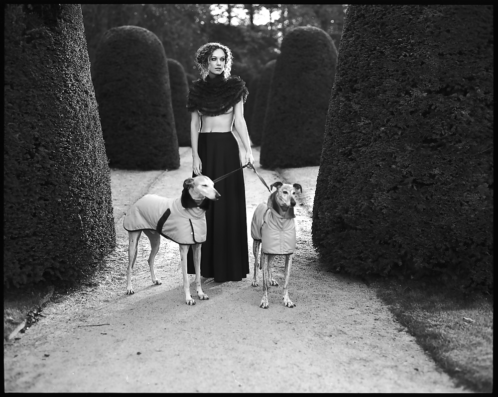 Something new, something borrowed #22458611