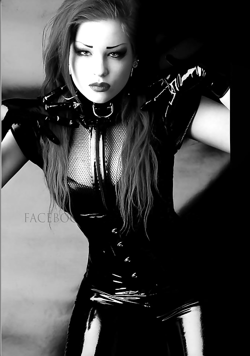 Felines... #16509801