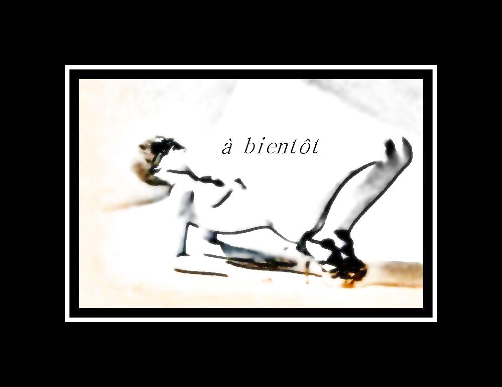 Denise060911 #6058134