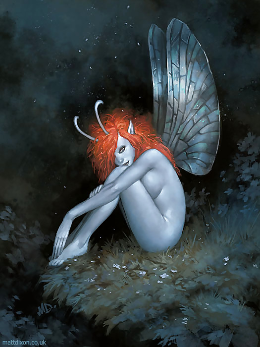 m.d.のピンナップ
 #22001889