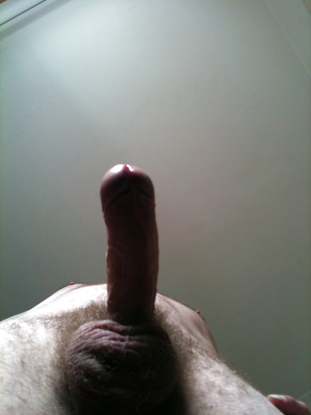 Fotos de pollas
 #549038