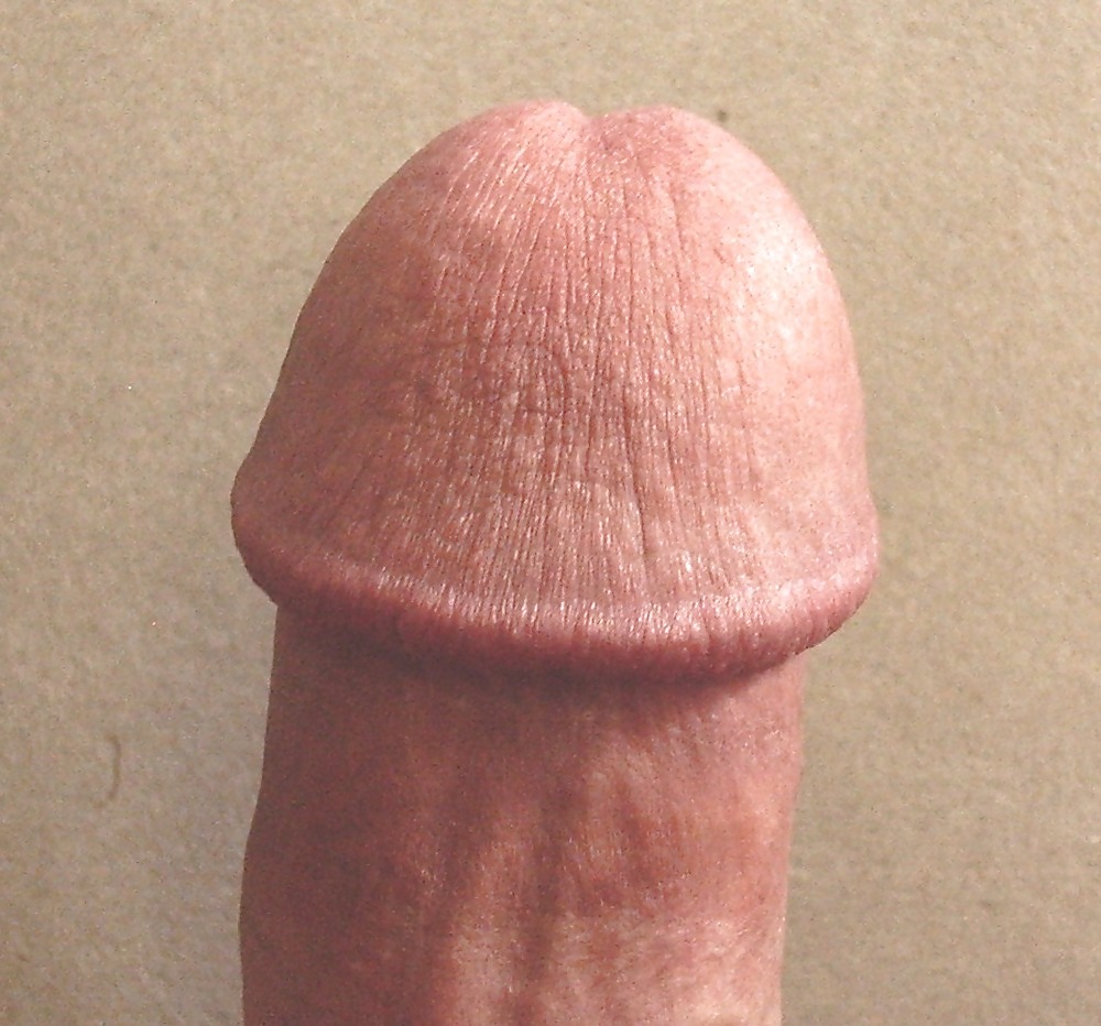 Who would cherish to suck this cock ???