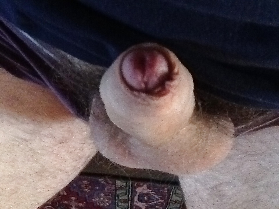 My cock #20829550