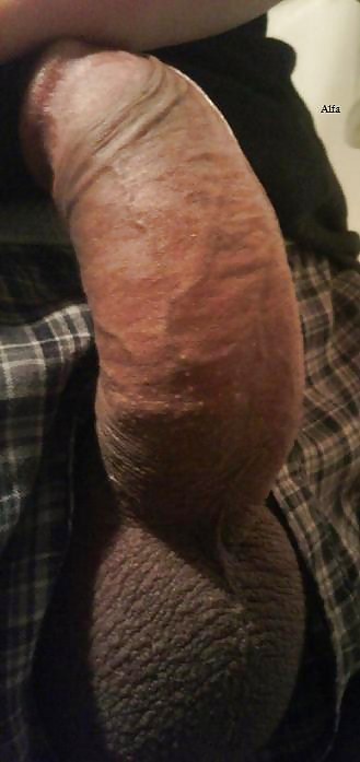 My unleashed cock,enjoy!! #8084302