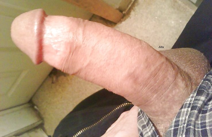 My unleashed cock,enjoy!! #8084317