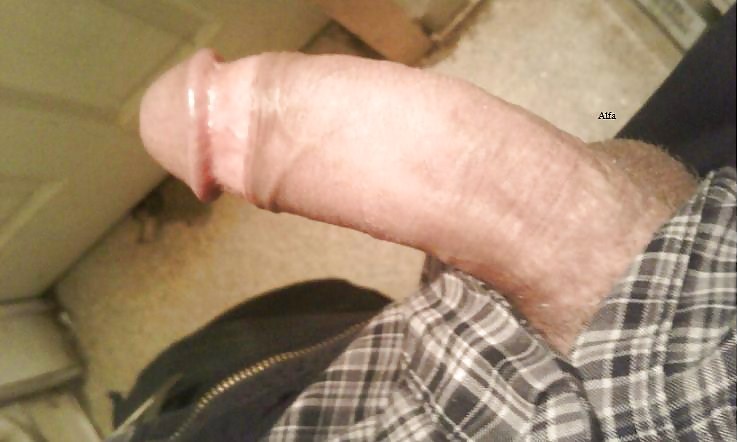 My unleashed cock,enjoy!! #8084333