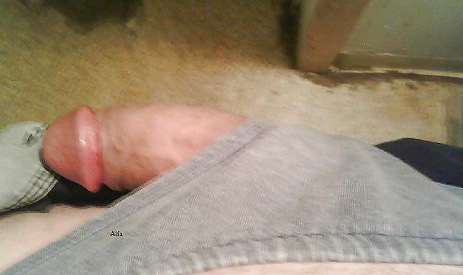 My unleashed cock,enjoy!! #8084363