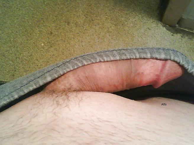 My unleashed cock,enjoy!! #8084397