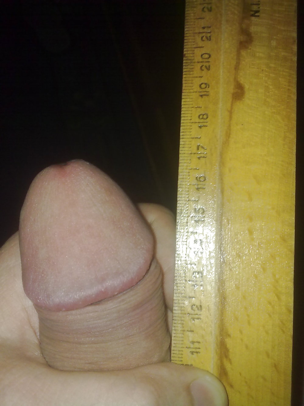 17 cm #404880