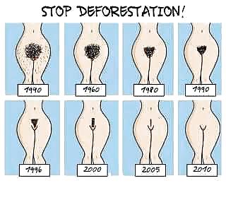 Mi galería
 #15309183