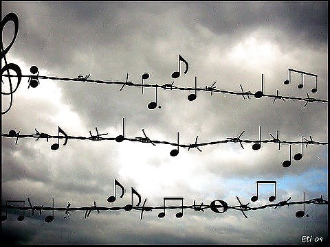 私のギャラリー
 #15309316