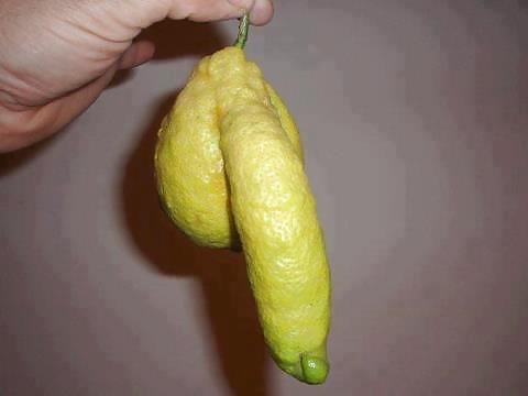 私のギャラリー
 #15309342