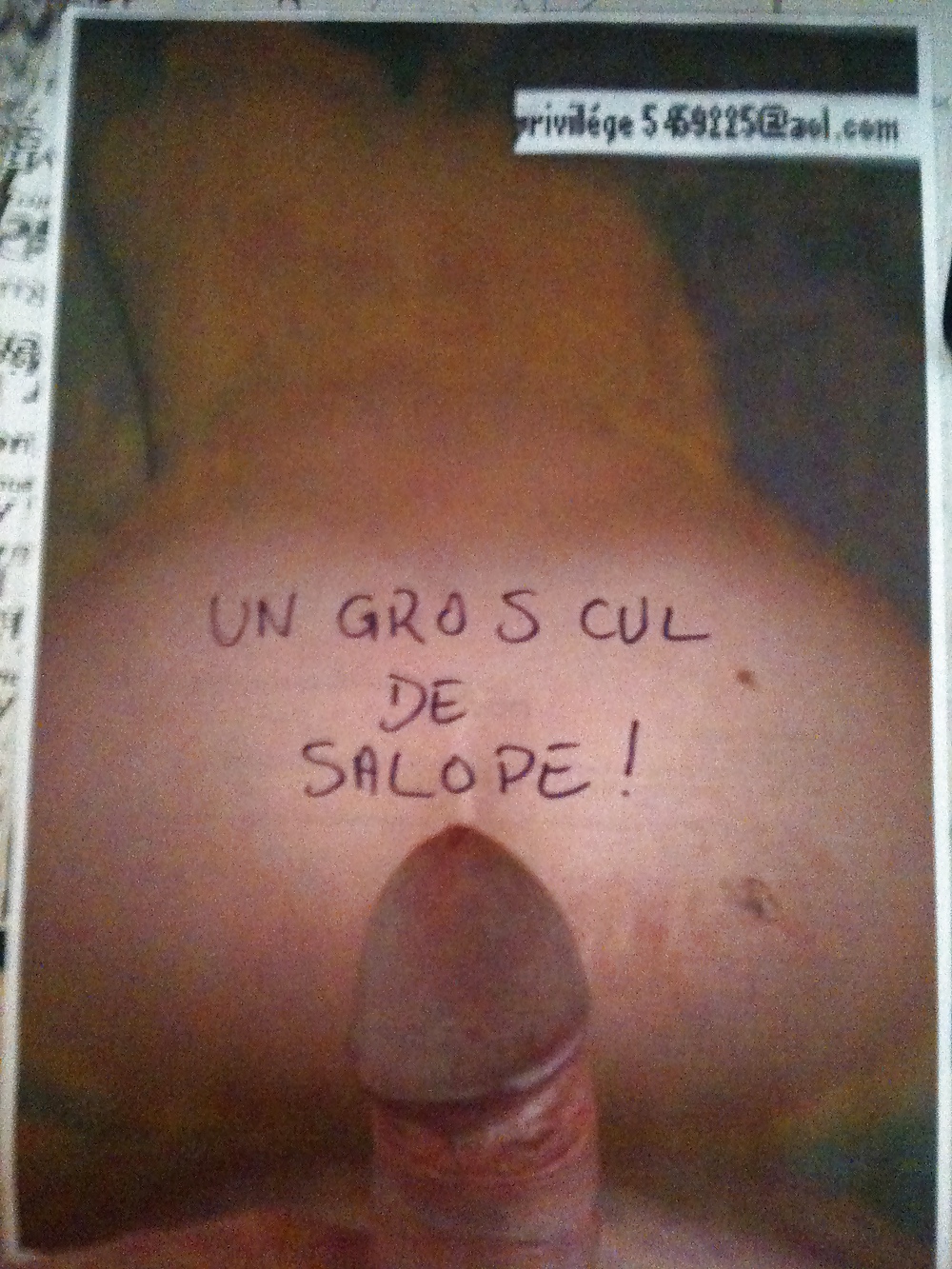 献身的な特権
 #3165314