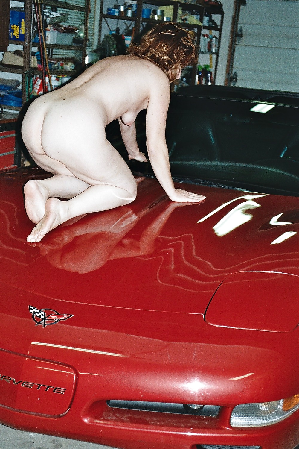 ナンシー
 #228471