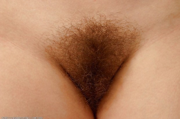Only fuzzy fannys #12545929