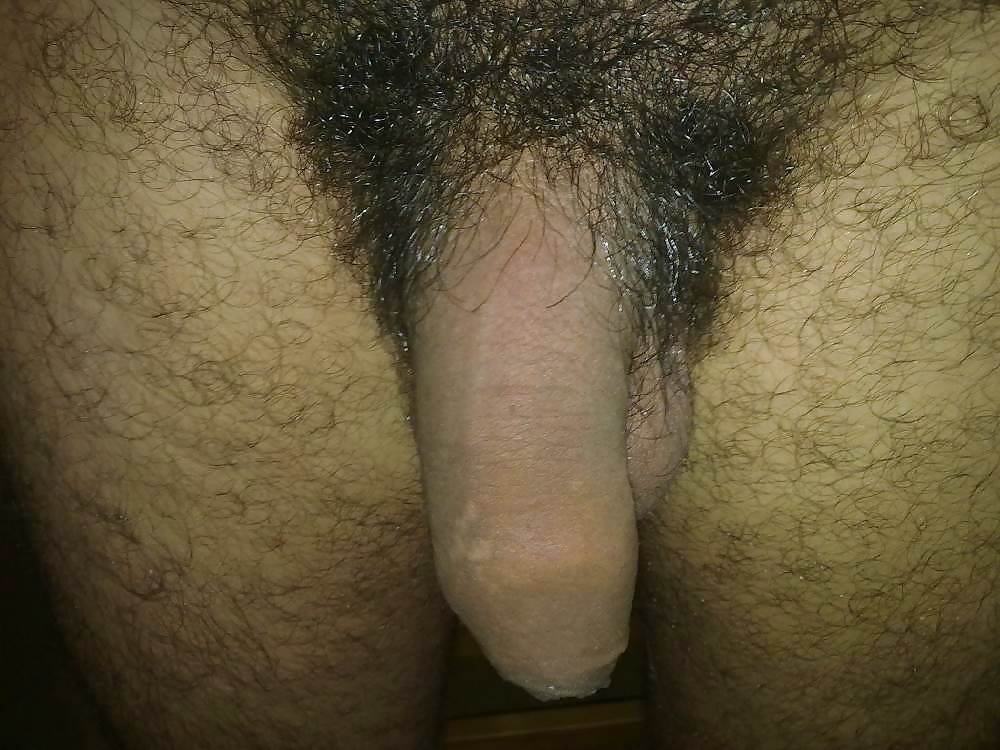Il mio cazzo #16270232