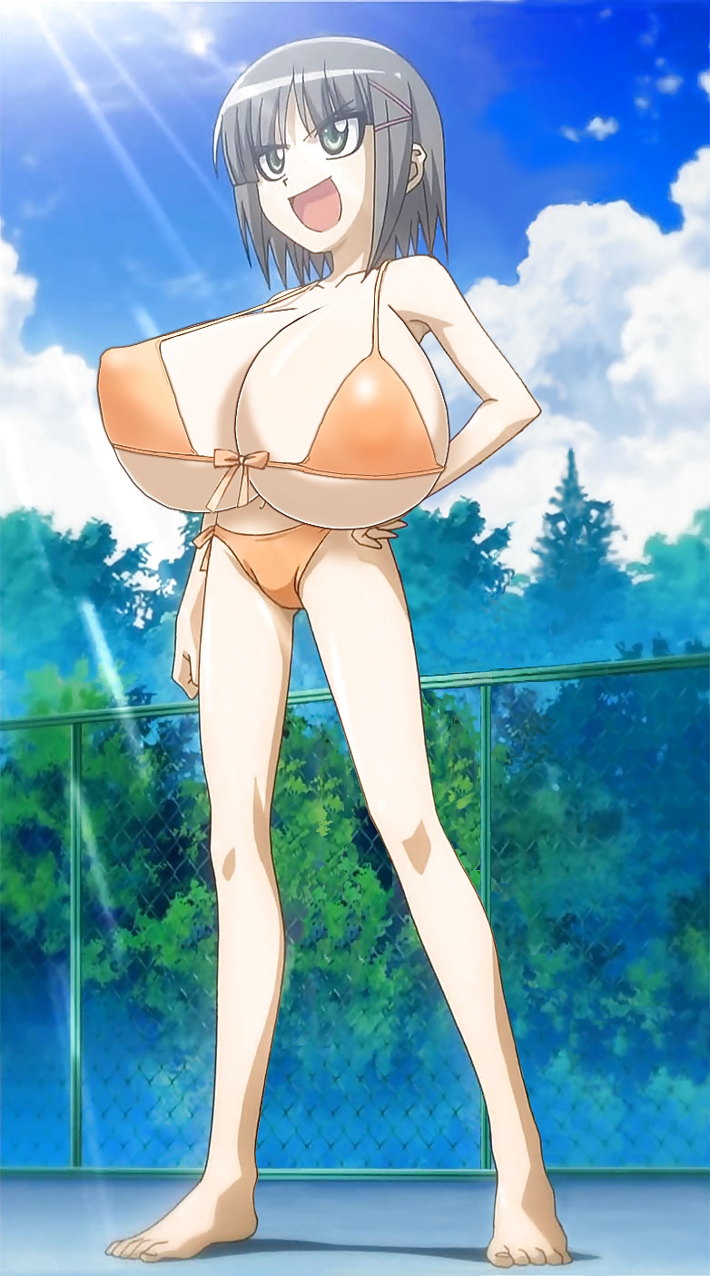 Hentai anime big boobs 2 #14287639