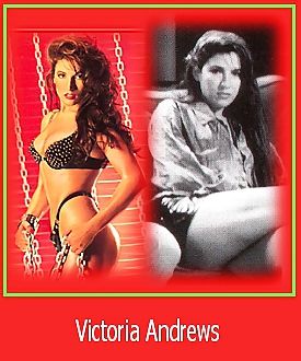 80's Pornstar ID cards #11208392