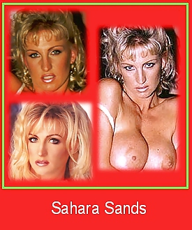 80's Pornstar ID cards #11208700