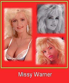 80's Pornstar ID cards #11209252