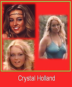 80's Pornstar ID cards #11210307