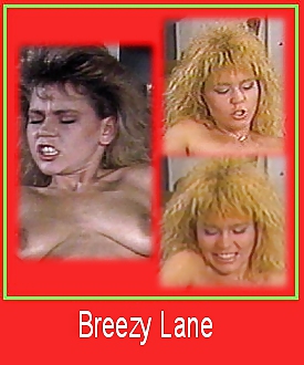 80's Pornstar ID cards #11211281