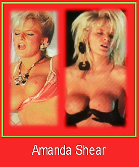 80's Pornstar ID cards #11211293