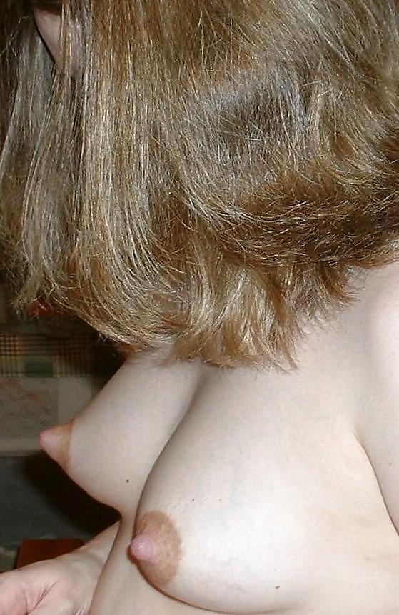 Assorted Tits #13409523