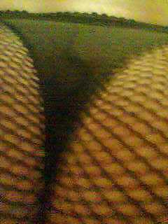 Im hotel mit lady
 #14616968