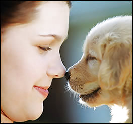 Beautiful Ladies and beautiful Pet dogs #12806074