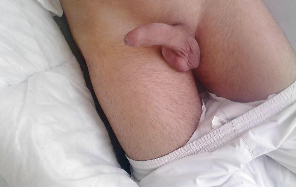 Semi Penis with Foreskin #4341572