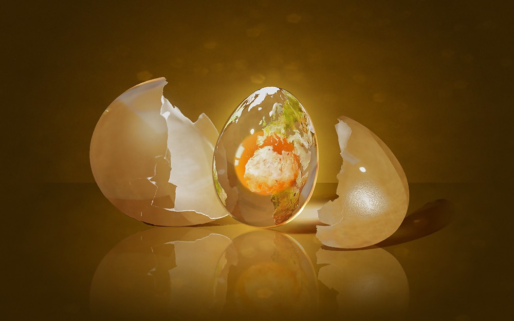 Wallpaper Misc (safe) #16105818