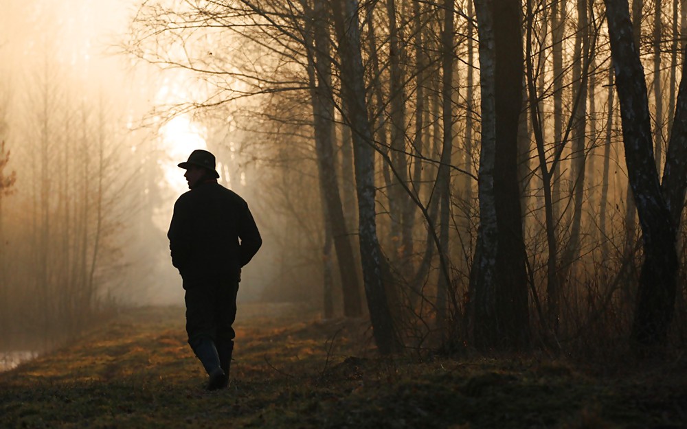 Papel pintado misc (seguro)
 #16105824