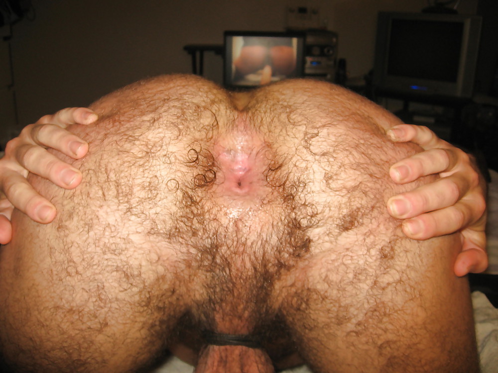 My hairy ass pics #5863792