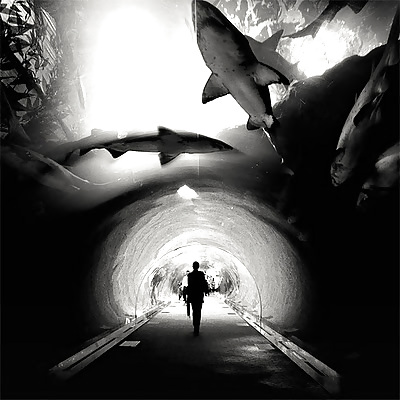 Le tunnel #10490412